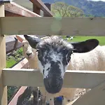 Casa de Férias 1 Bed In Keswick Oc-86394 *