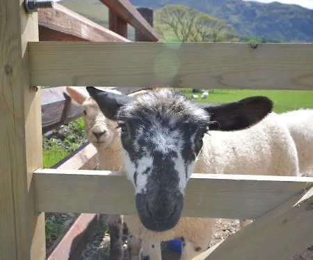 1 Bed In 86394 روسثويت