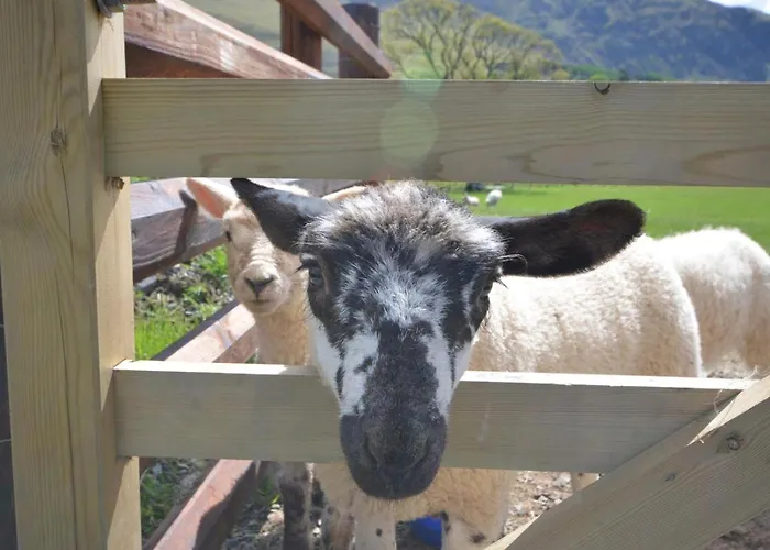 Casa de Férias 1 Bed In Keswick Oc-86394 *