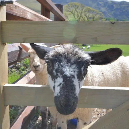 Dom wakacyjny 1 Bed In 86394 Rosthwaite